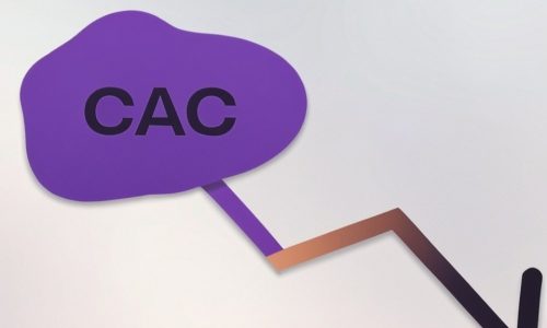 lower-cac-with-real-time-insights Lower CAC without buying more leads with Perch Insights